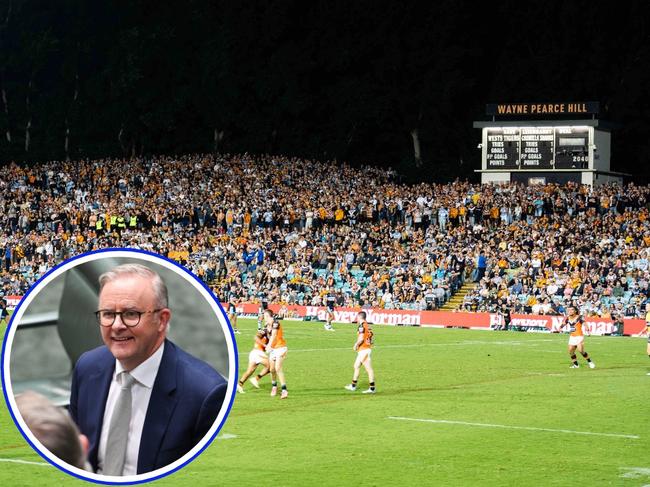 Anthony Albanese has joined the movement to save Leichhardt Oval.