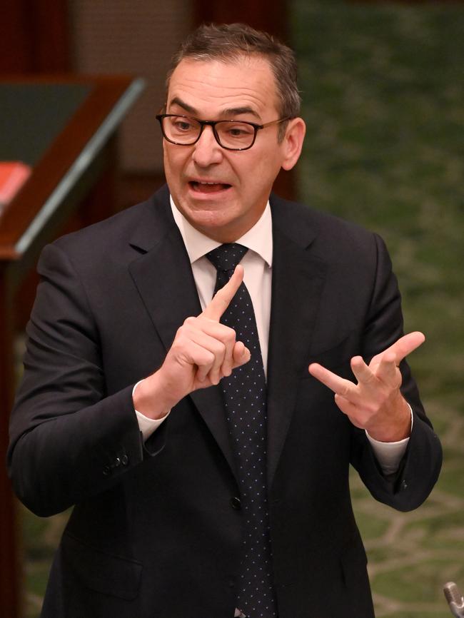 South Australian premier Steven Marshall. Picture: Naomi Jellicoe