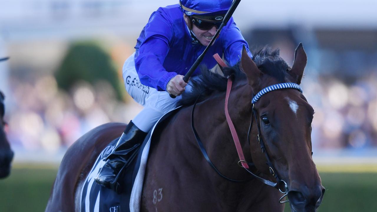 Star mare Alizee will race on next season. Picture: AAP 