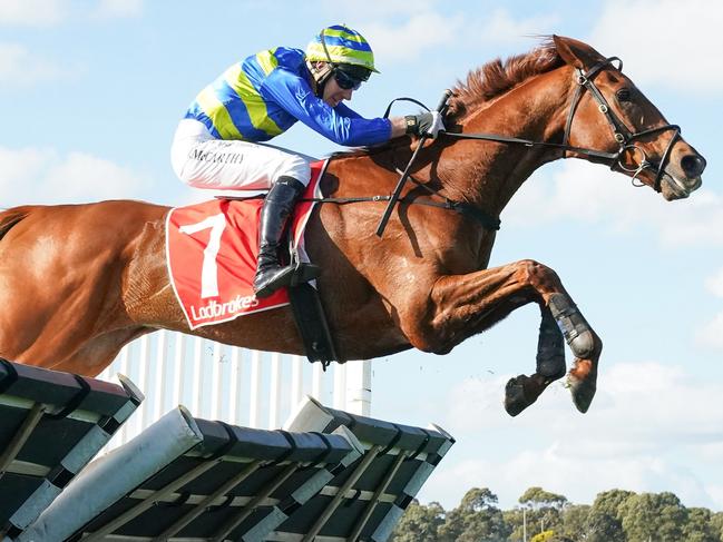 Wil John ridden by William McCarthy wins the Grand National Hurdle at Ladbrokes Park Lakeside Racecourse on August 01, 2021 in Springvale, Australia. (Scott Barbour/Racing Photos via Getty Images)