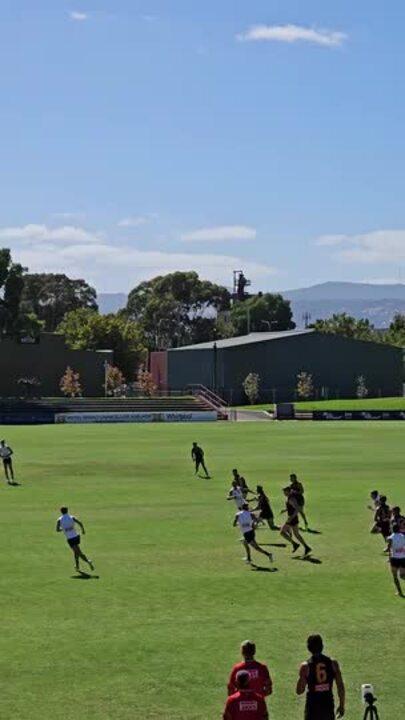 Crows weave way through traffic at training