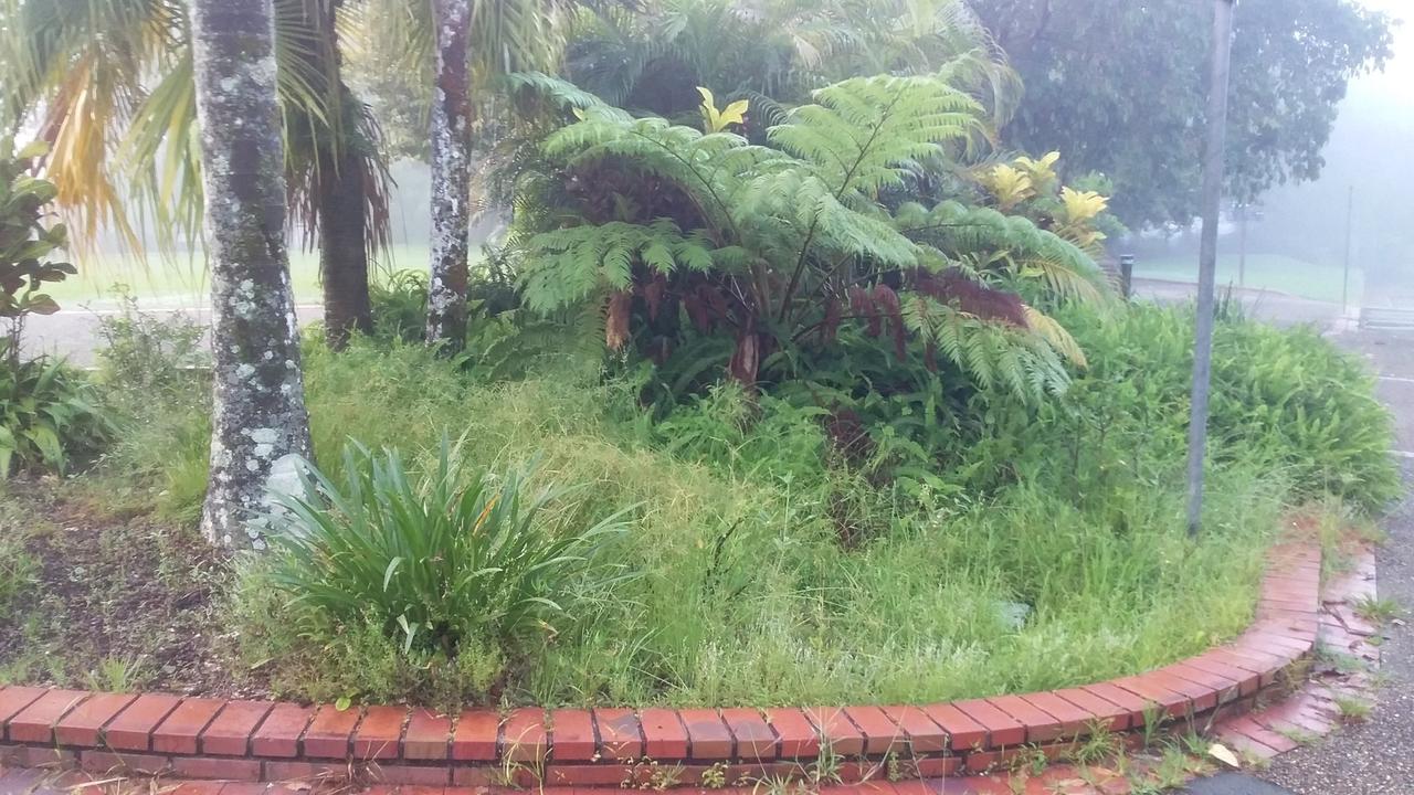 Kuranda residents believe the village in the rainforest has been forgotten by Mareeba Shire Council in terms of up-keep of the town and delivery of maintenance to pubic areas. Picture: Supplied