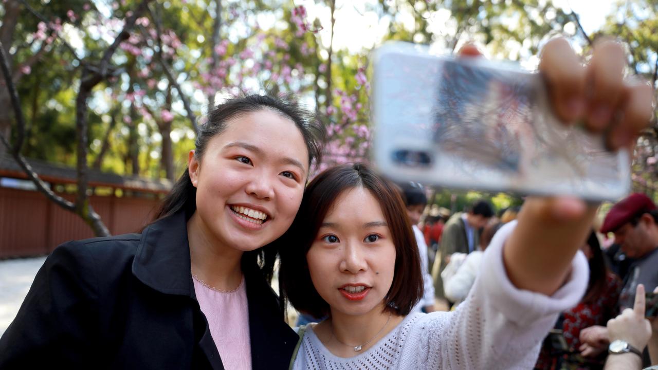 Mary Wu from Melbourne and her friend Lydia Lu from Erskineville take a selfie at the Cherry Blossom Festival in Auburn. (AAP IMAGE / Angelo Velardo)