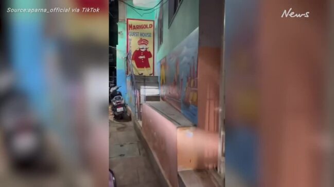Model cops backlash for slamming Indian city