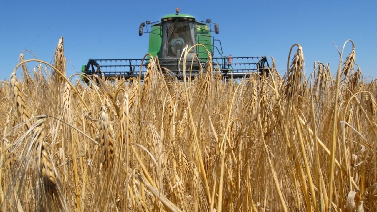 Queensland to have 'one of biggest harvests' in 'a number of years'