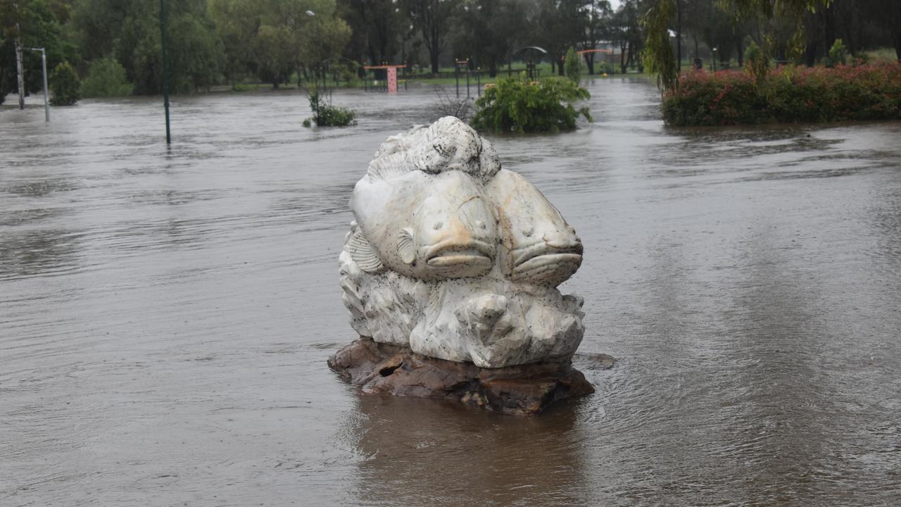 Flooding at Federation Park in Warwick on December 1, 2021 after huge rainfall in past 24 hours. Picture Jessica Paul / Warwick Daily News