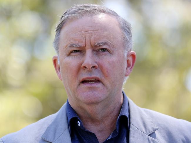 Anthony Albanese has called for constitutional recognition of Indigenous Australians. Picture: Nikki Short