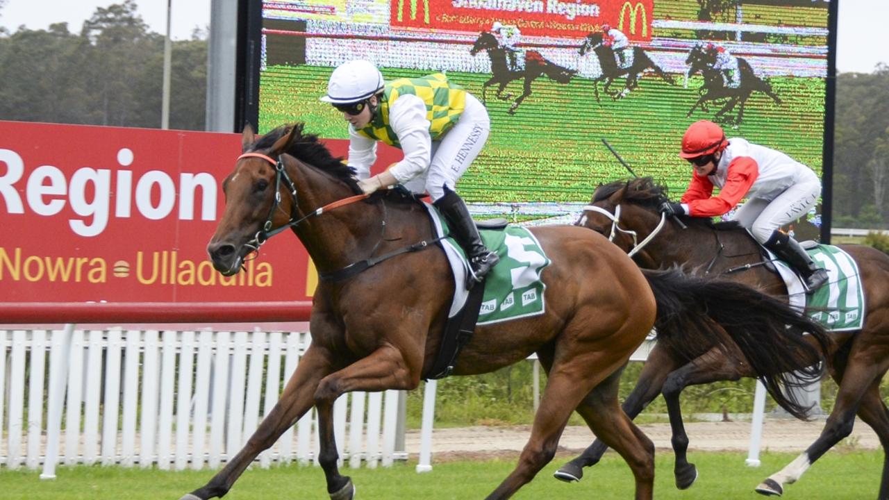 Donegal Lights an bring up the hat-trick when he heads to Nowra. Picture: Bradley Photos