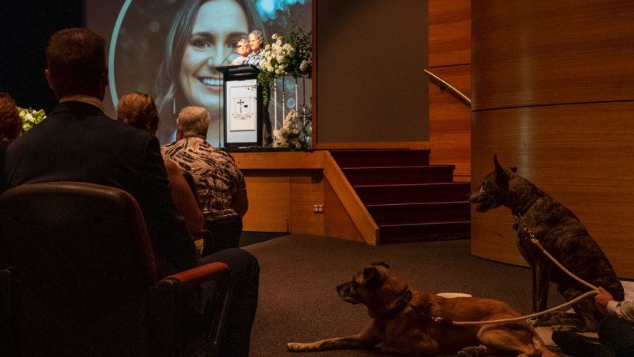 Kate and Matt's dogs Frankie and Django pictured at the funeral service of the couple killed in a crash at Alexandra Hills on Australia Day.