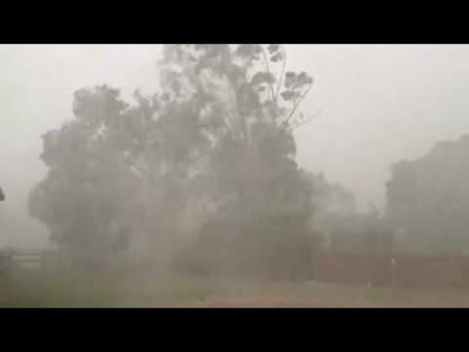 AU QLD:    Man Screams as Wild Wind and Rain Lashes Queensland   February 13 Credit: Facebook/Thomas Hinterdorfer: Extreme Weather Chaser via Storyful