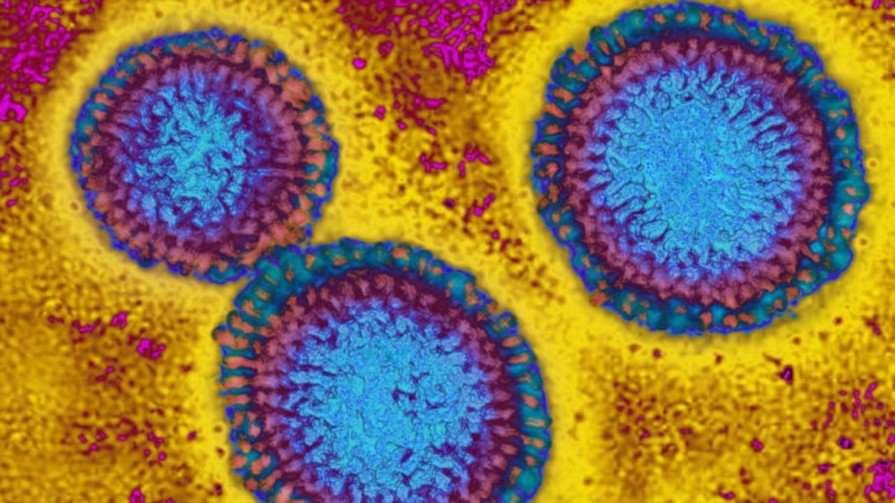 Influenza virus under a microscope. Picture: Getty Images