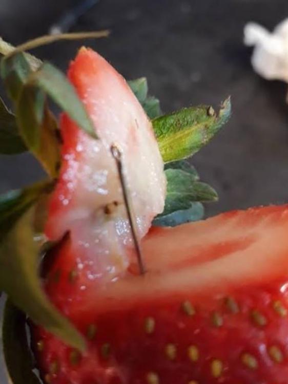 A needle found in a strawberry purchased by Gladstone woman Angela Stevenson. Picture: Supplied