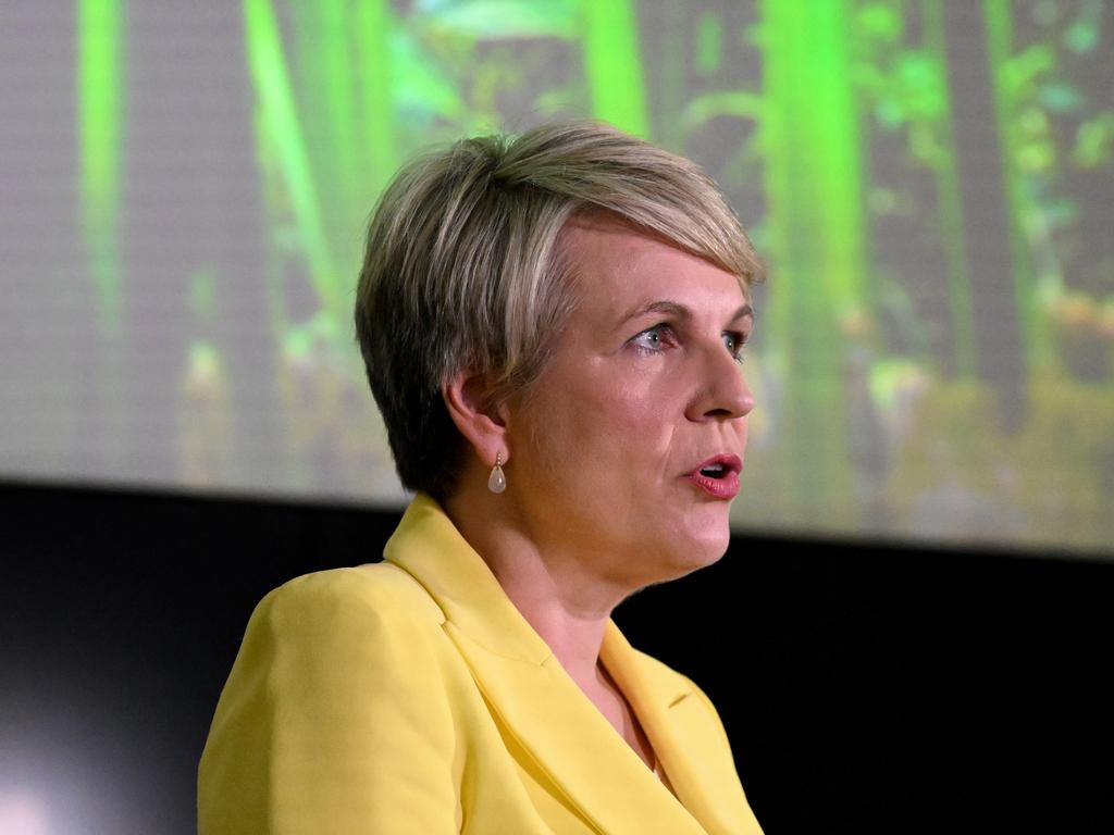 Environment Minister Tanya Plibersek has suggested she would have won a leadership contest against Mr Albanese in 2019. Picture: Dan Peled