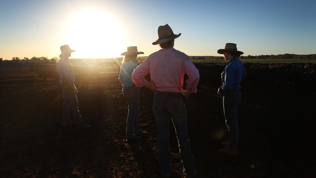 Australia needs to ensure ‘everything possible’ is done to prepare farmers for drought