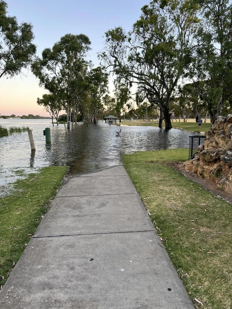 Sturts reserve Murray Bridge 24/12/2022 Picture: Facebook/Tracy Kirchner