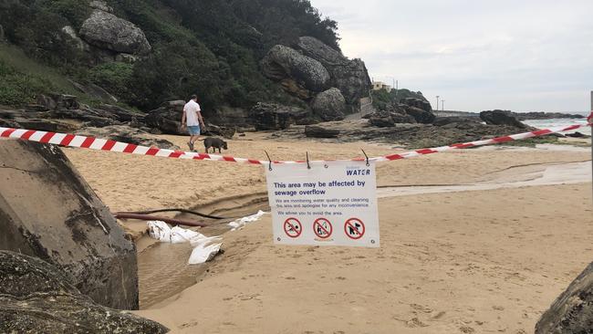 Sydney Water has advised people, and their pets, to avoid the north end of Freshwater Beach because it may be affected by a sewage overflow into the stormwater outlet. Picture: Jim O'Rourke