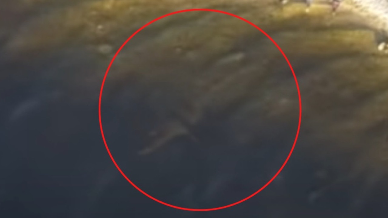 Il mostro di Loch Ness visto nel Canale di Caledonia scozzese su filmati di droni