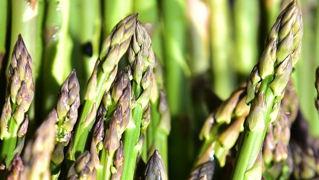 Asparagus take four years to grow to harvestable size.