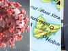 ‘TURN UP’: Tassie hits major Covid-19 vaccination milestone