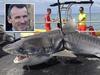 Monster shark that killed Aussie dad