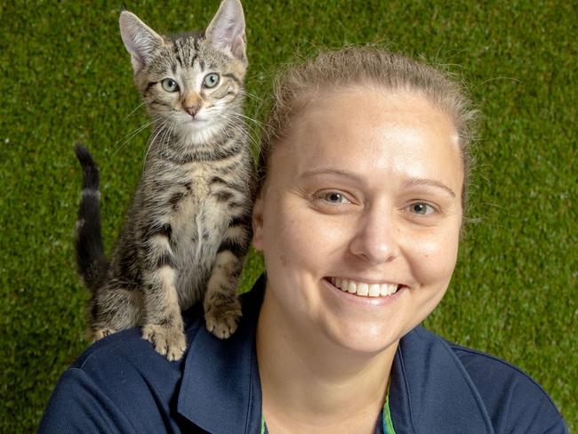 RSPCA QLD Adoption and Foster Manager Nellie Worringham with 9-week-old male kitten 'Hades' who was surrendered at Wacol, Friday, January 5, 2024 - Picture: Richard Walker