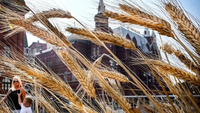 The Kremlin said that the Ukraine grain deal had "de facto ended" hours before it was due to expire. Picture: AFP