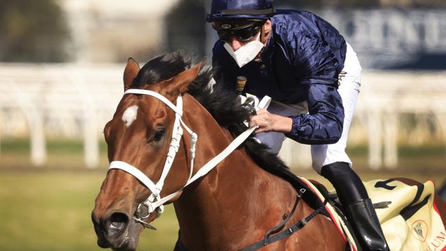 Home Affairs is in line to fill Coolmore’s slot for next week’s The Everest. Picture: Getty Images