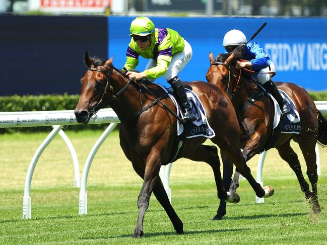 SYDNEY, AUSTRALIA - DECEMBER 21: Tommy Berry riding Pallaton wins Race 1 Shinzo @ Coolmore Plate during Sydney Racing at Royal Randwick Racecourse on December 21, 2024 in Sydney, Australia. (Photo by Jeremy Ng/Getty Images)