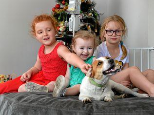 GIFT: Evie Wilshusen is back at home after spending 221 days in hospital. Spending time with her sisters Isla (left) and Lillian and dog, Trev.