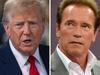 Arnold Schwarzenegger dragged tha fuck into Dizzle Trump trial
