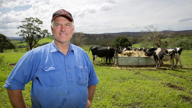 Bushfire affected dairy farmer, Rob Miller, on his farm in Milton on the NSW South Coast. Picture: Liam Driver