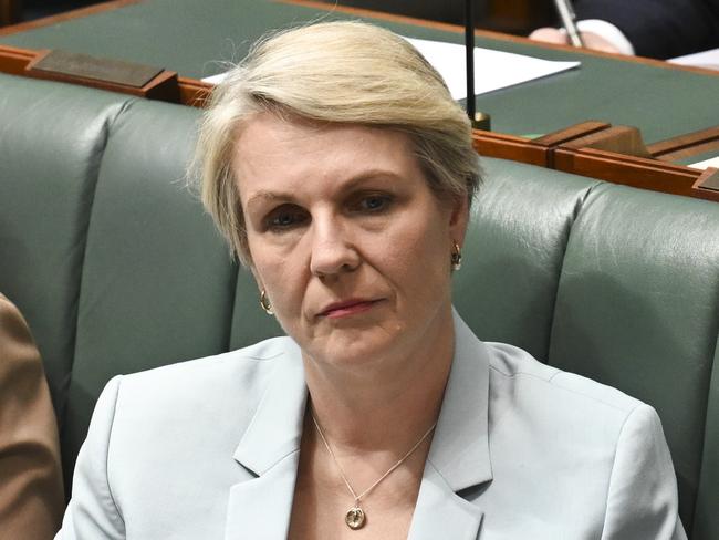 CANBERRA, Australia - NewsWire Photos - August 12, 2024: Tanya Plibersek during Question Time at Parliament House in Canberra. Picture: NewsWire / Martin Ollman