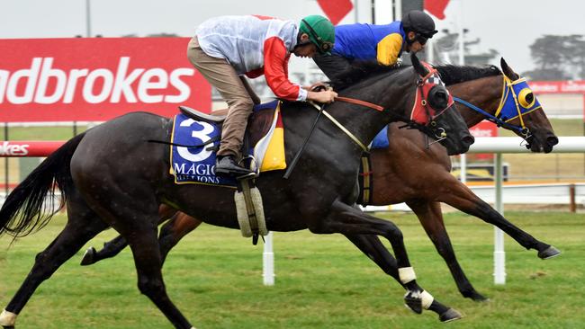 Mystic Journey in action during a trial at Elwick.