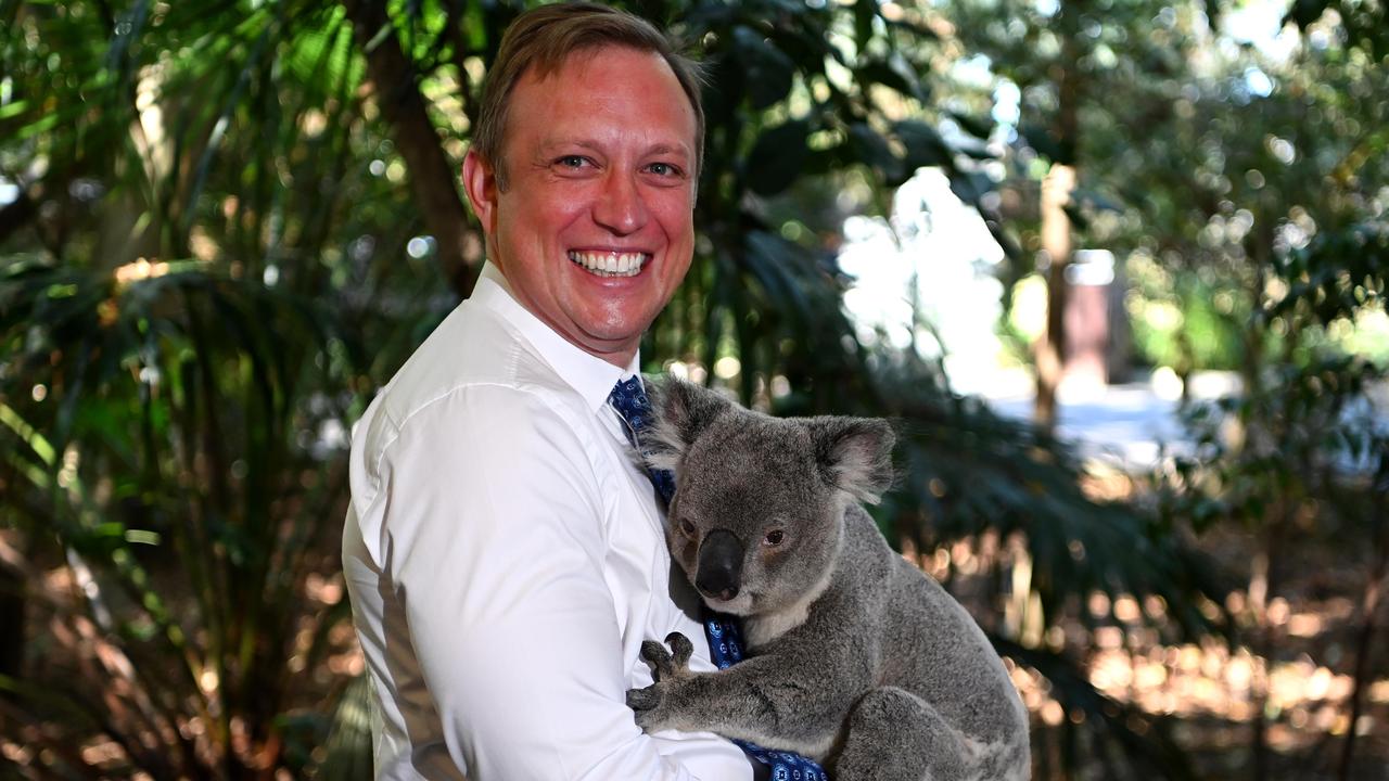 Queensland Premier Steven Miles after announcing funding to deliver koala threat management initiatives as deputy, Picture: Dan Peled / NCA NewsWire