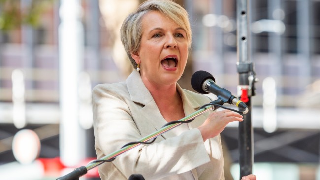 Tanya Plibersek says the Coalition is at odds with itself over its target to reach net zero emission. Picture: The Australian / Monique Harmer