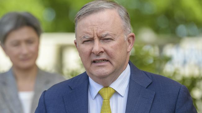 Federal Opposition Leader Anthony Albanese. Picture: Roy Van Der Vegt