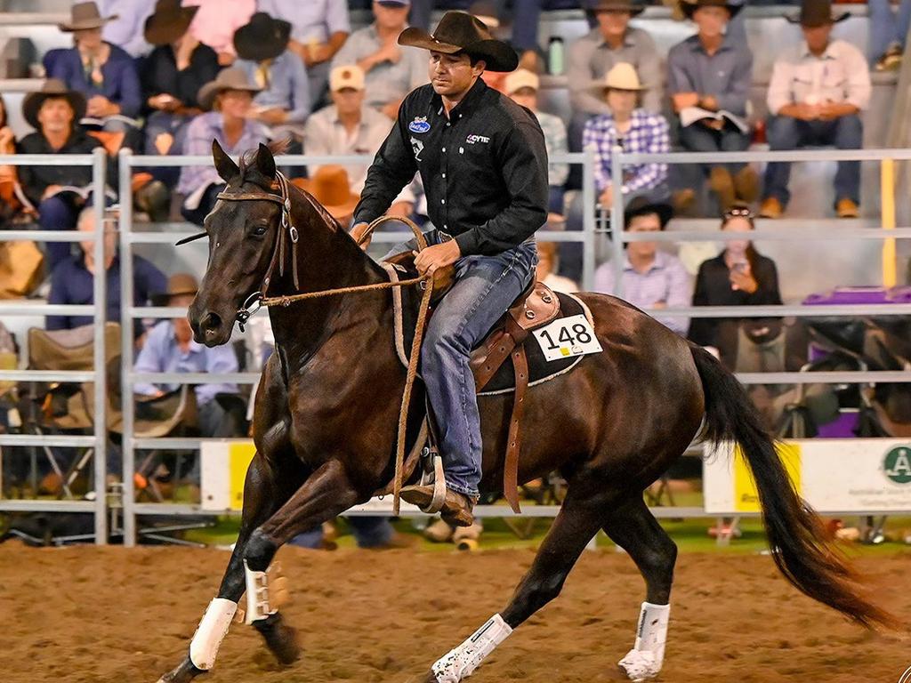 Dalby Australian Stock Horse Sale. Photo: Elite Edge Media.