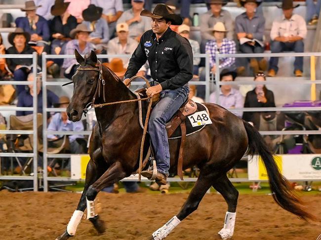 Dalby Australian Stock Horse Sale. Photo: Elite Edge Media.