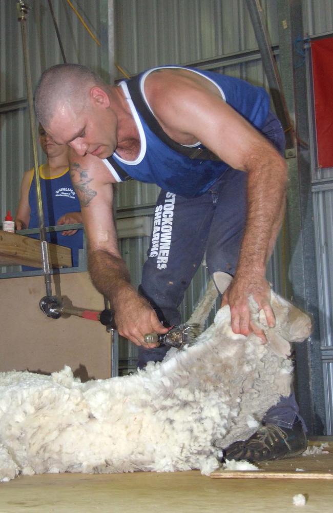 Laurie Bateman during his sheep shearing record breaking attempt in Hughenden in October 2007. Photo: Danielle Jesser.