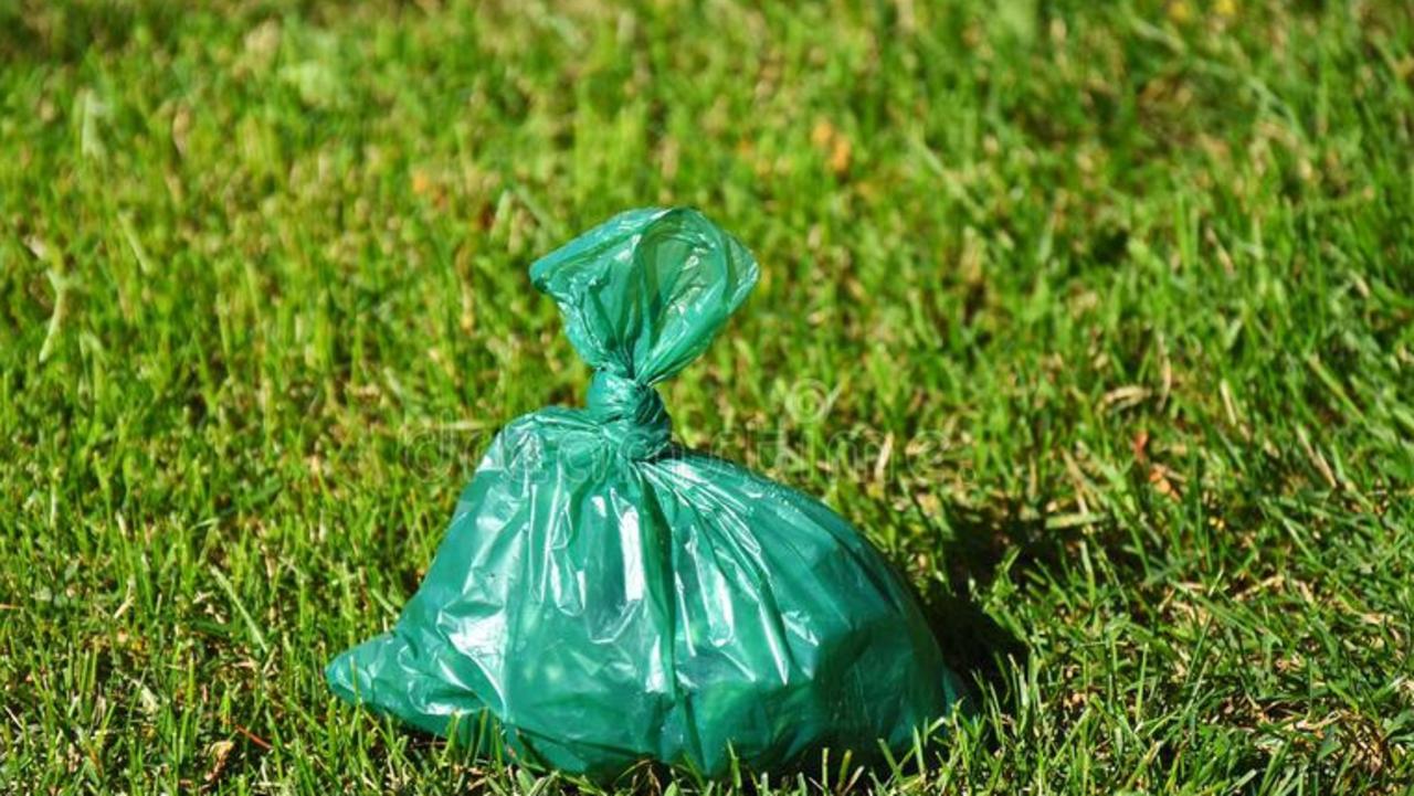 Bags and bags of dog poo has been found at this neighbours property. Picture: Supplied