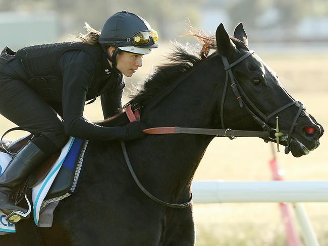 International Horse's trackwork at Werribee Racecourse, The Andrew Balding trained Side Glance with Leanne Masterton on the track. Melbourne. 22nd October 2014. Picture: Colleen Petch.