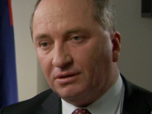 Profitable ... Minister for Agriculture Barnaby Joyce believes halal certification is great for Australian business. Picture: ABC