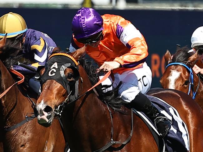 SYDNEY, AUSTRALIA - SEPTEMBER 21: Tim Clark riding El Castello wins Race 1 Vale Graham Mcneice Midway during 
