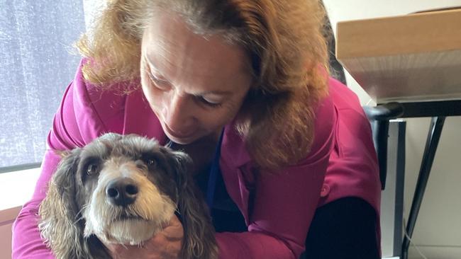 Bracks the dog with Labor MP Sonja Terpstra