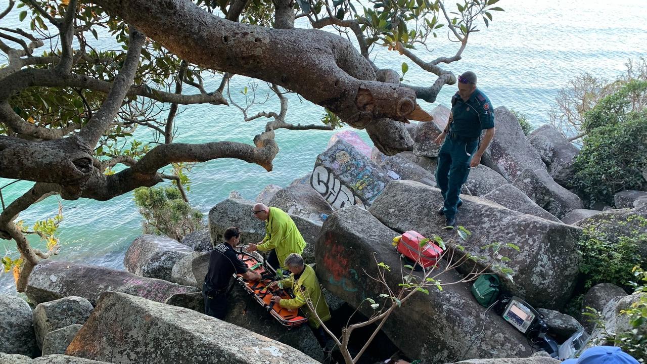 are dogs allowed in burleigh national park