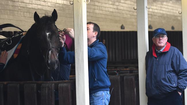 Lloyd Williams looks on as The Taj Mahal is saddled up at Werribee. Picture: Getty Images