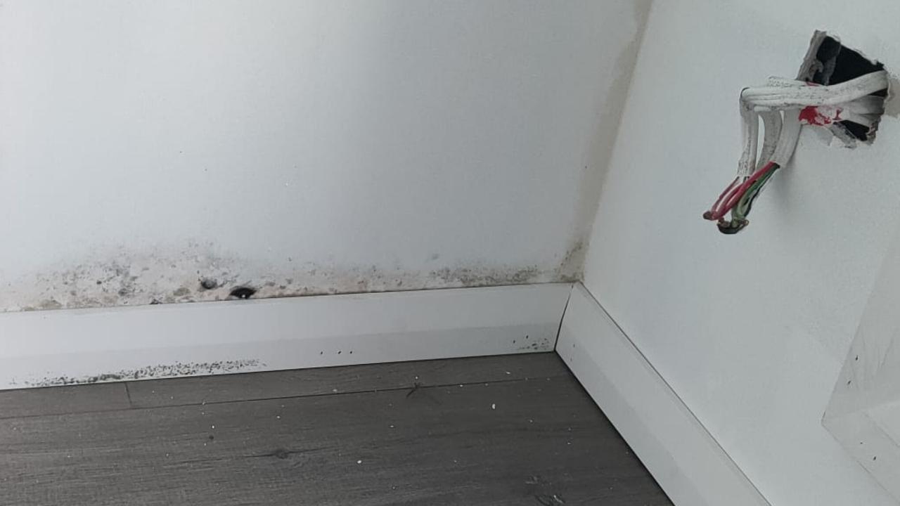 There is mould in the home. Picture: Supplied