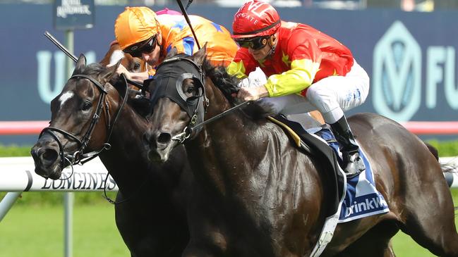 Artorius (right) blouses Imperatriz in the 2023 Canterbury Stakes.