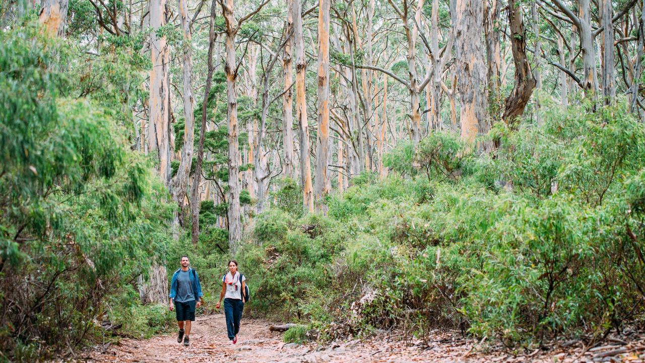 WA’s Cape to Cape walk a feast of glittery water views | The Australian