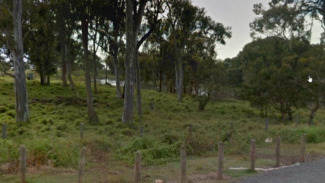 A dam on the site, through the trees. Up to 70 trees may have to be cleared to make way for the houses.